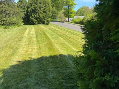 Lawn Care service in South Windsor, 06074