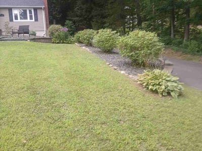 Lawn Care service in South Windsor, 06074