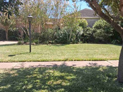 Lawn Care service in Santa Maria, 93454