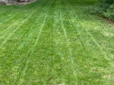 Lawn Care service in San Rafael, 94901