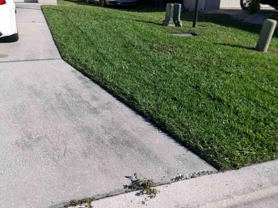 Lawn Care service in Monterey, 93940
