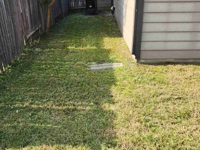 Lawn Care service in Long Beach, 11561