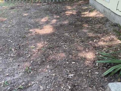 Leaf Removal service in Spring, 77373