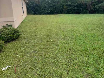 Lawn Care service in Panama City, 32401