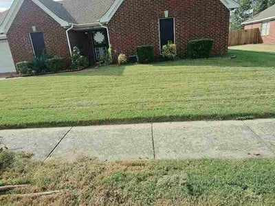 Lawn Care service in Salinas, 93901