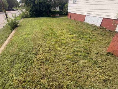 Lawn Care service in Richmond, 94801