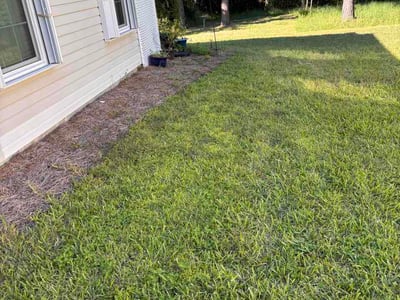 Lawn Care service in Panama City Beach, 32408