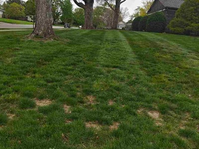 Lawn Care service in Ocean City, 08226