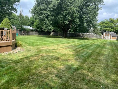 Lawn Care service in Benton Harbor, 49022