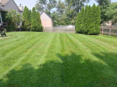 Lawn Care service in Cape May, 08204