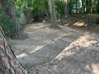 Leaf Removal service in Garner, 27529
