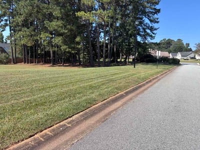 Lawn Care service in San Ramon, 94583