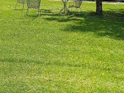 Lawn Care service in Macon, 31201