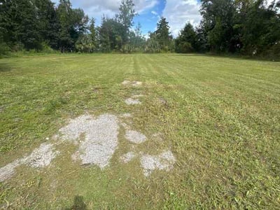 Lawn Care service in Destin, 32541