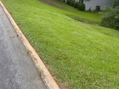 Lawn Care service in Ozone Park, 11417