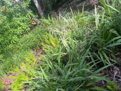 Leaf Removal service in Miami Gardens, 33056
