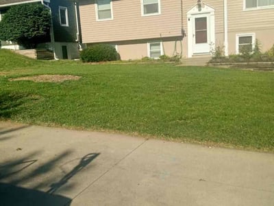 Lawn Care service in Old Bridge, 08857