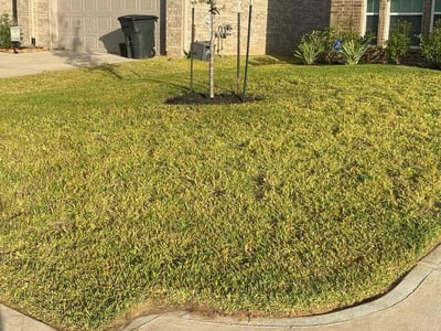Lawn Care service in Sulphur, 70663