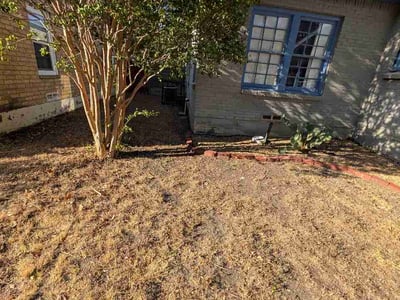 Leaf Removal service in Frisco, 75033