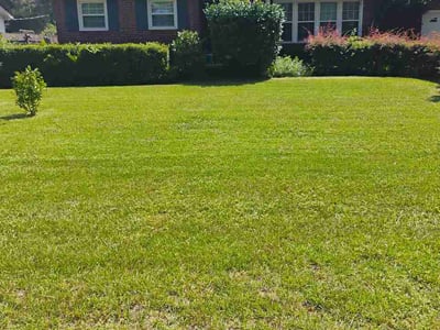 Lawn Care service in Okatie, 29909