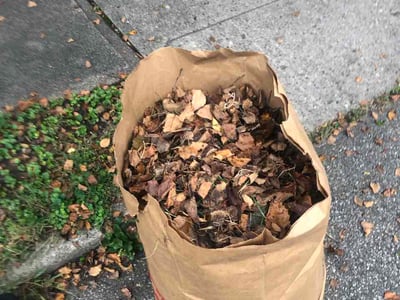 Leaf Removal service in Fairfield, 45014