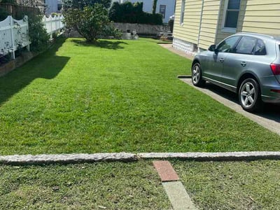 Lawn Care service in Brooklyn, 11216