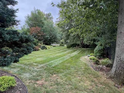 Lawn Care service in Hoboken, 07030