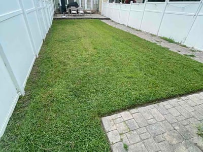 Lawn Care service in Bristol, 37620