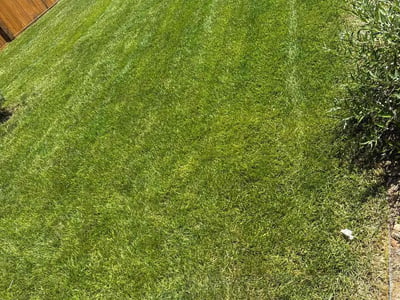 Lawn Care service in Point Pleasant Beach, 08742