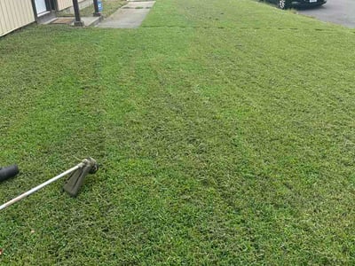 Lawn Care service in Bay Shore, 11706