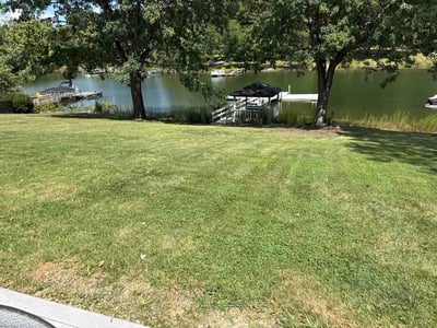 Lawn Care service in Lenoir, 28645