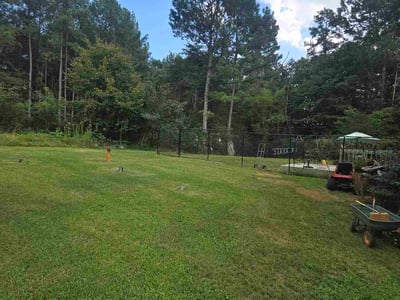 Lawn Care service in Lenoir, 28645
