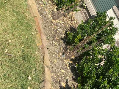 Lawn Care service in Norwalk, 06851