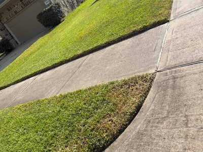 Lawn Care service in Norwalk, 06851