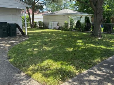 Lawn Care service in Roselle, 60172