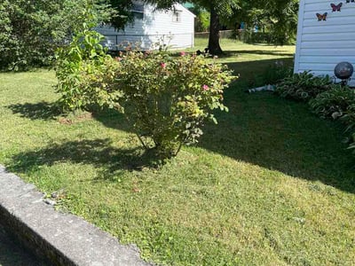 Lawn Care service in Rogersville, 37857