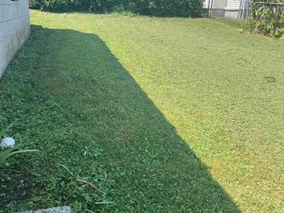 Lawn Care service in Rogersville, 37857