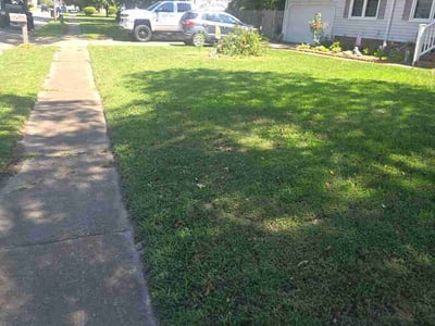 Lawn Care service in Charlottesville, 22902
