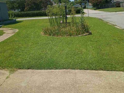 Lawn Care service in Charlottesville, 22902