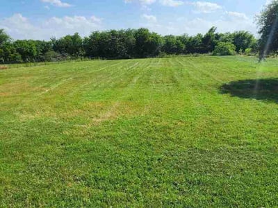 Lawn Care service in Terrell, 75160