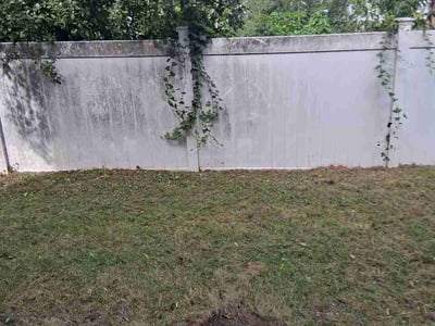 Leaf Removal service in Edison, 8817