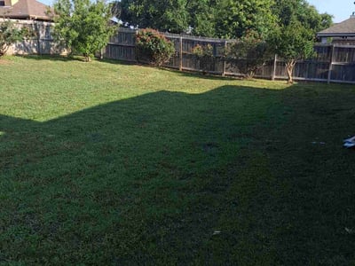Lawn Care service in Belton, 76513