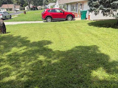 Lawn Care service in Urbana, 61801