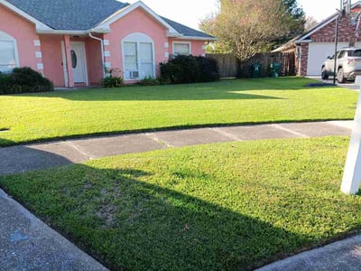 Lawn Care service in Eugene, 97401