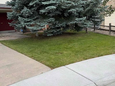 Lawn Care service in Centennial, 80112