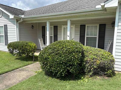 Lawn Care service in Paterson, 07505