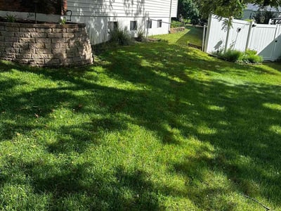 Lawn Care service in Paterson, 07505