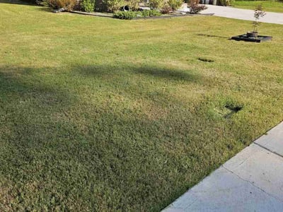 Lawn Care service in Kingston, 12401