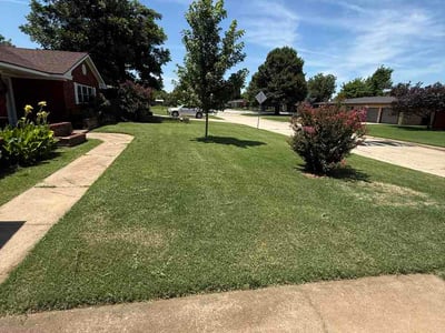 Lawn Care service in Oroville, 95965