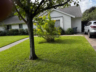 Lawn Care service in Oroville, 95965